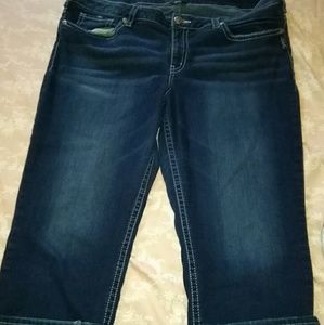 Plus size 22 Silver Suki Capris